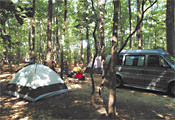 Tentsite at Winding River Campground